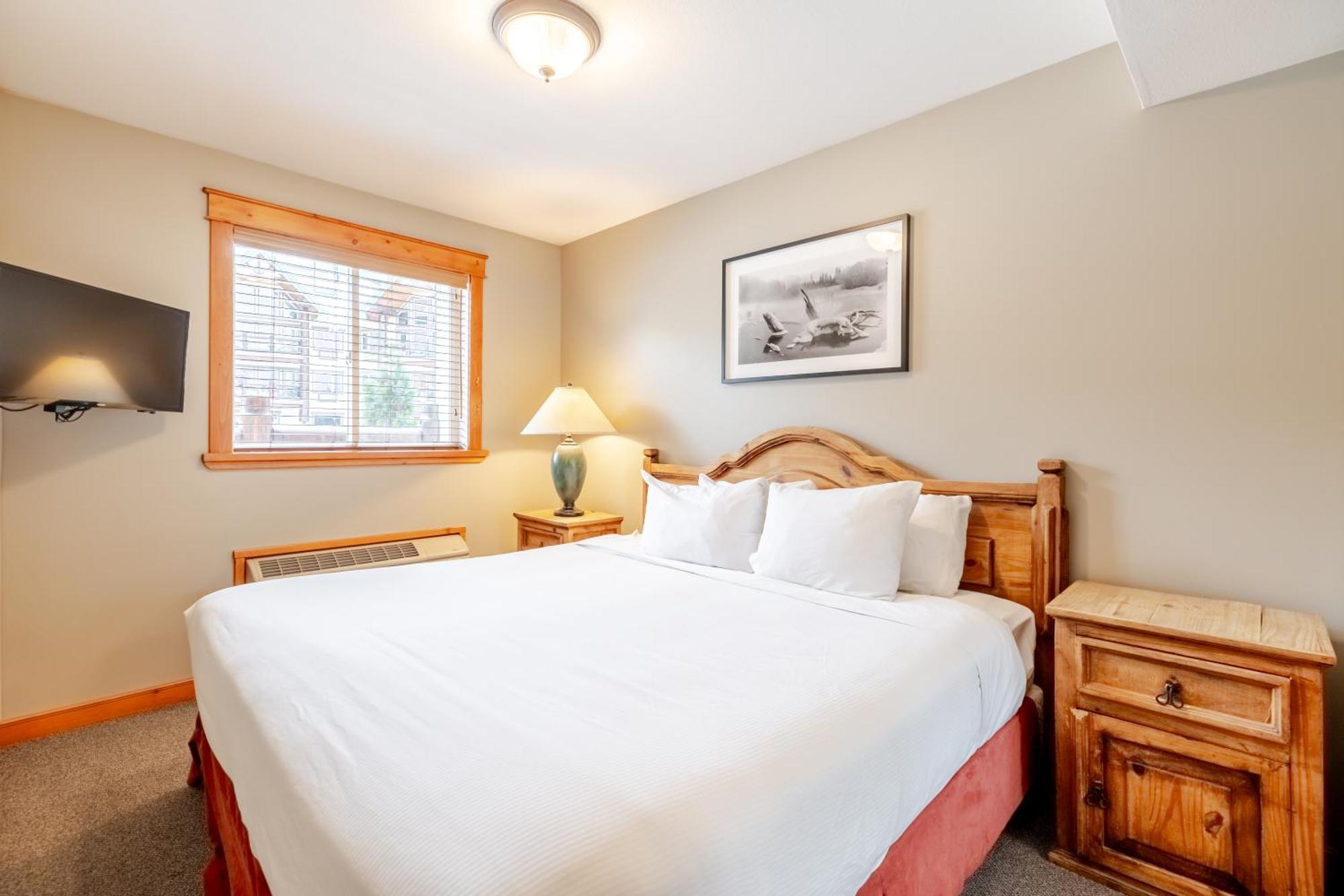 Studio with Kitchen,1739421296:JPEG