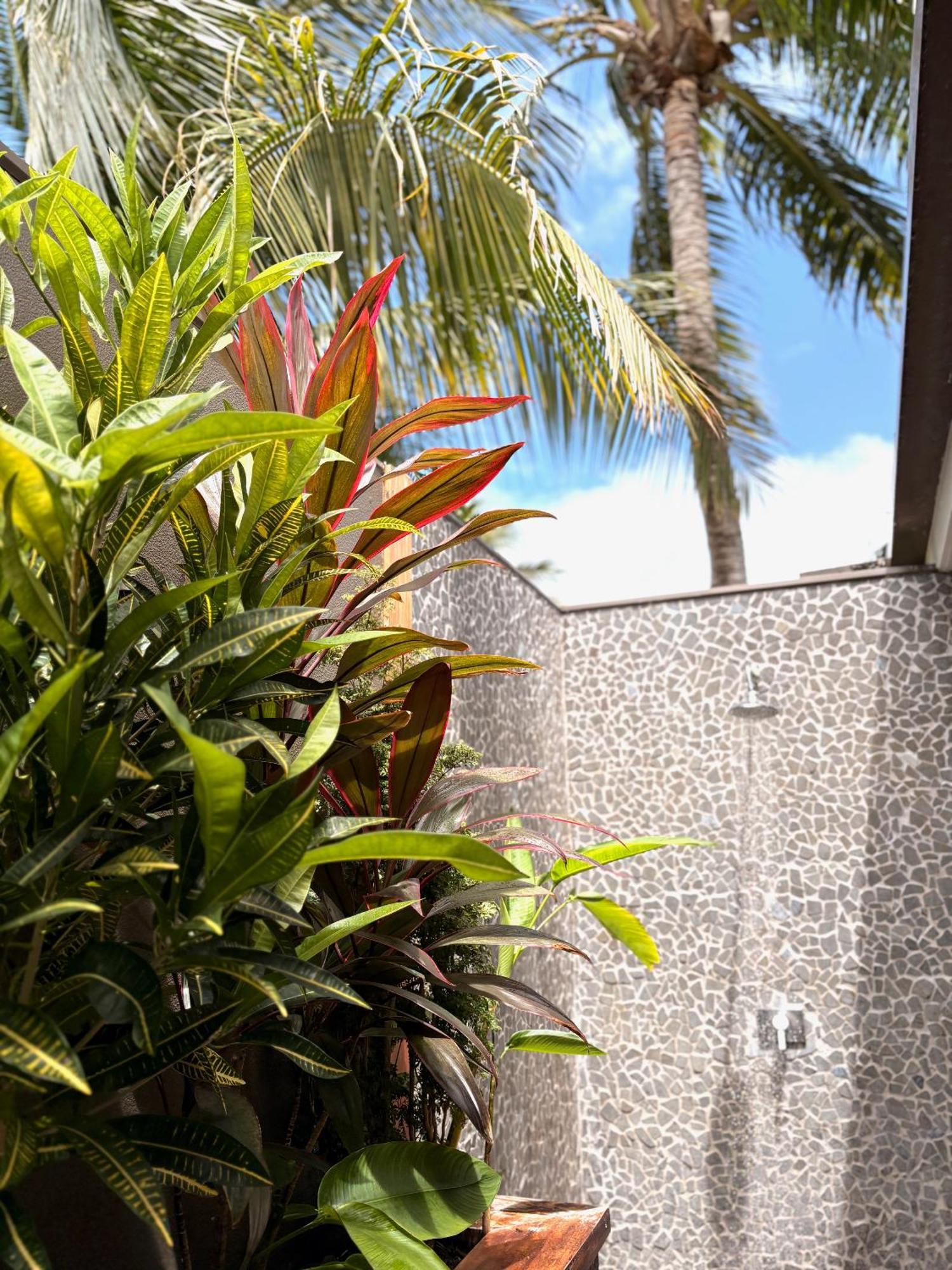 Villa with Garden View,1742812430:JPEG