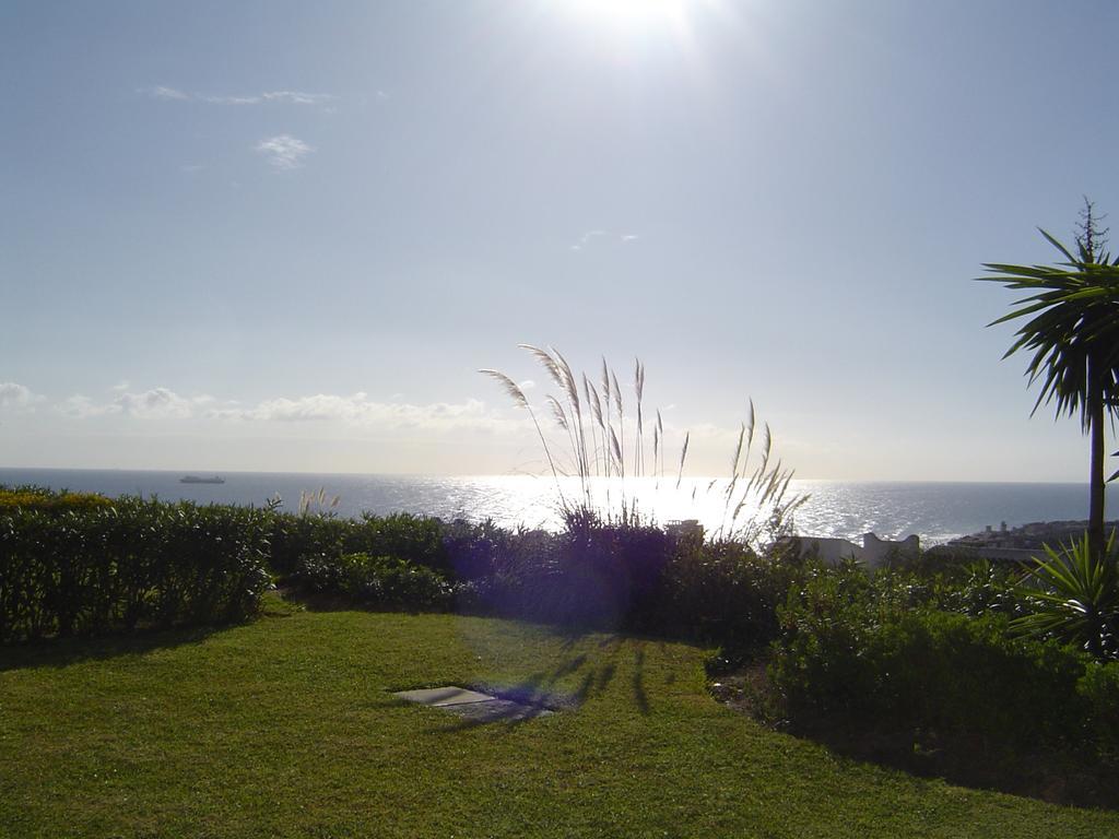 Studio Apartment (2 Adults),1695752483:JPEG