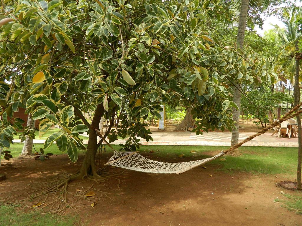 Deluxe Double Room,444367716:JPEG