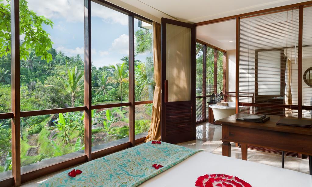 Family Suite,265368373:JPEG