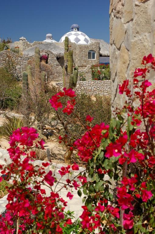 Garden View Room,537801405:JPEG