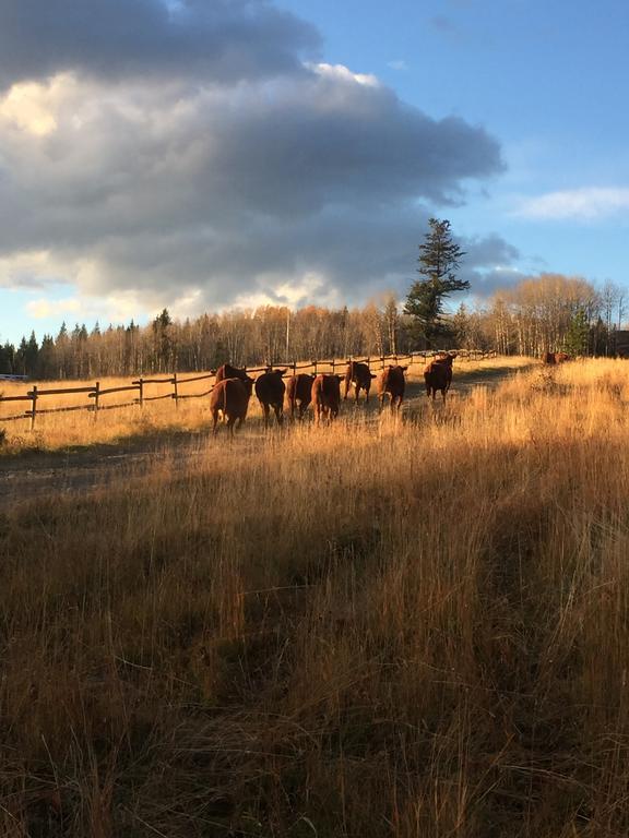 One-Bedroom Cottage,320890125:JPEG