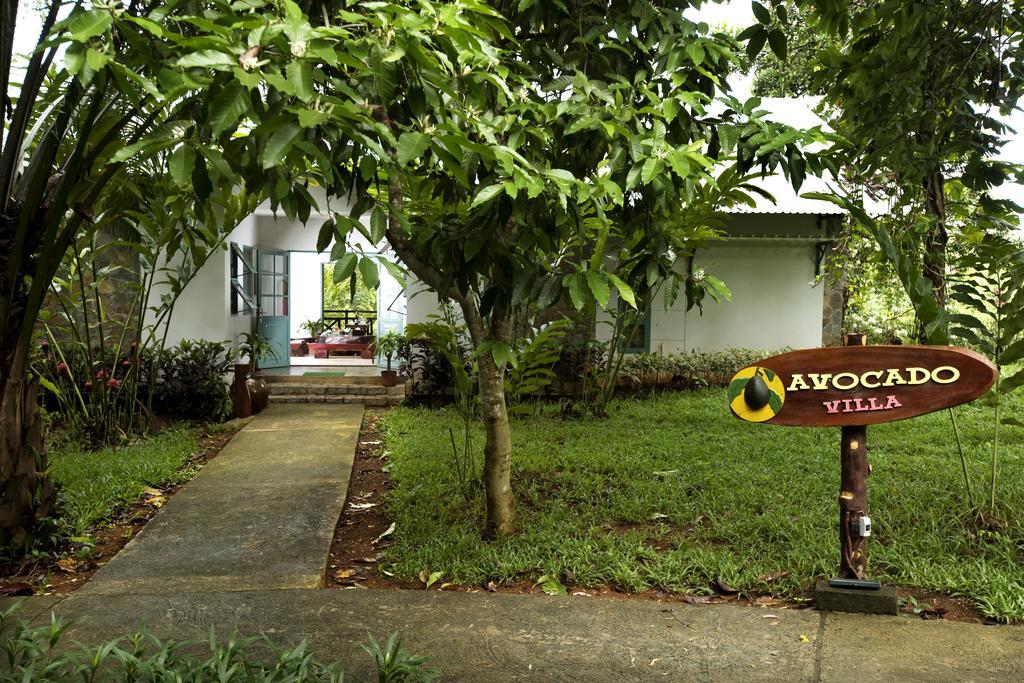 Deluxe Double or Twin Room with Garden View,324662884:JPEG