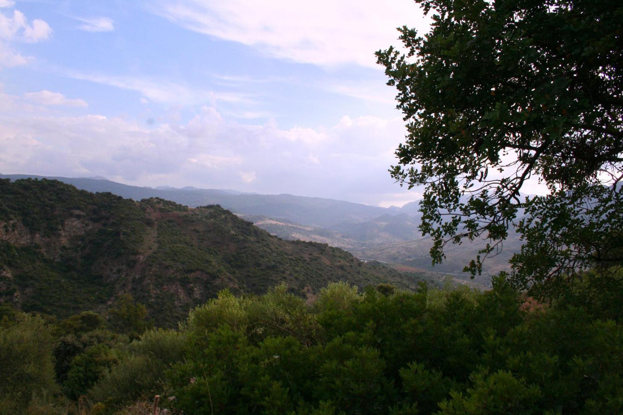 Studio Mountain View,661815873:JPEG