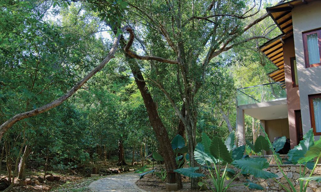 King Room with Lake View,642095427:JPEG