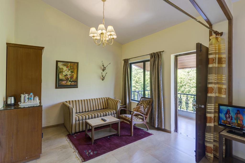 Forest Premium,425258100:JPEG