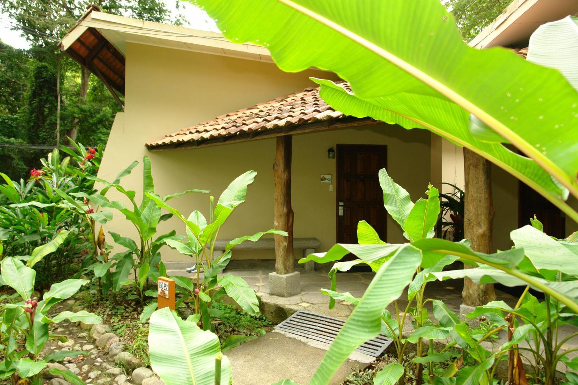 Standard Twin Room 800 mts from the beach,680501088:JPEG