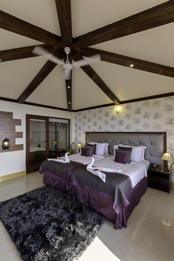 Dew Drop Cottage,516301242:JPEG