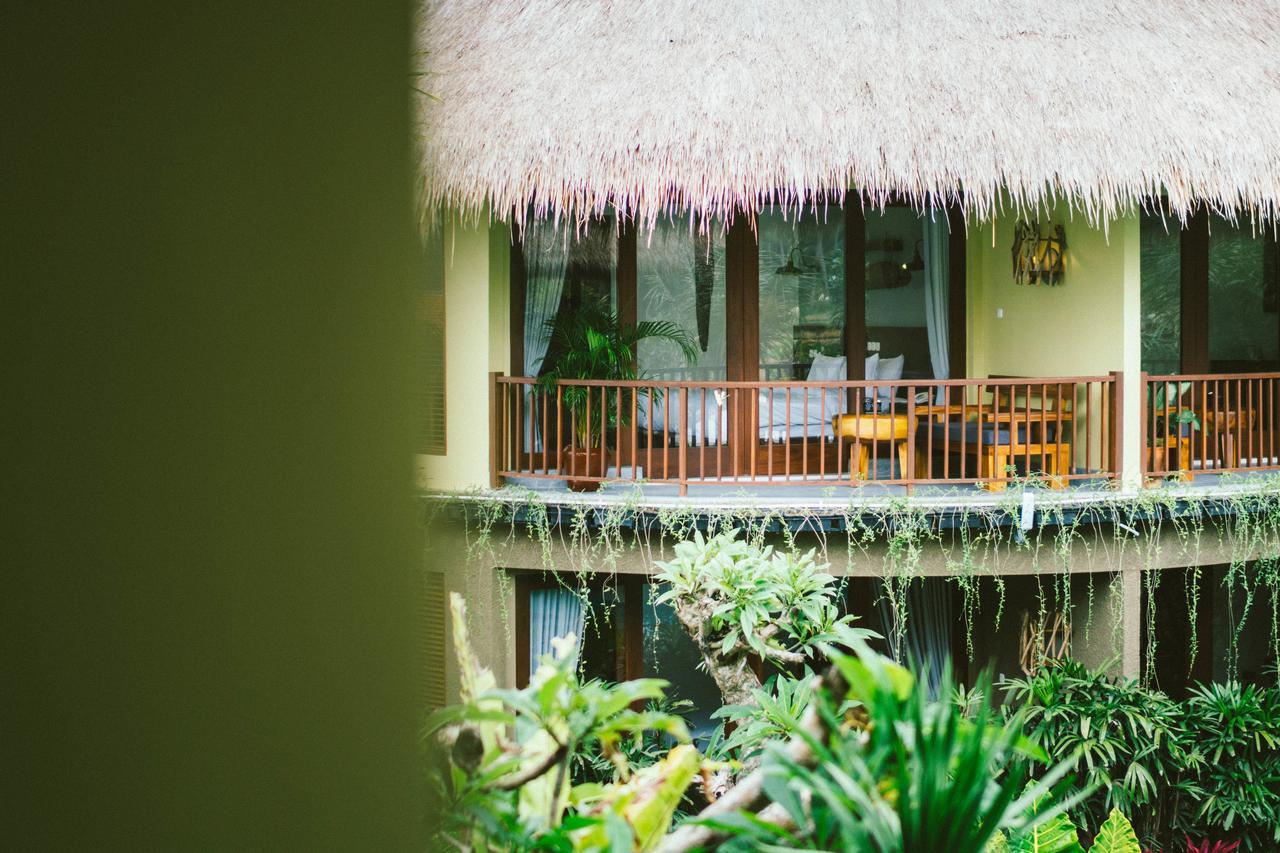 Tropical Deluxe Room