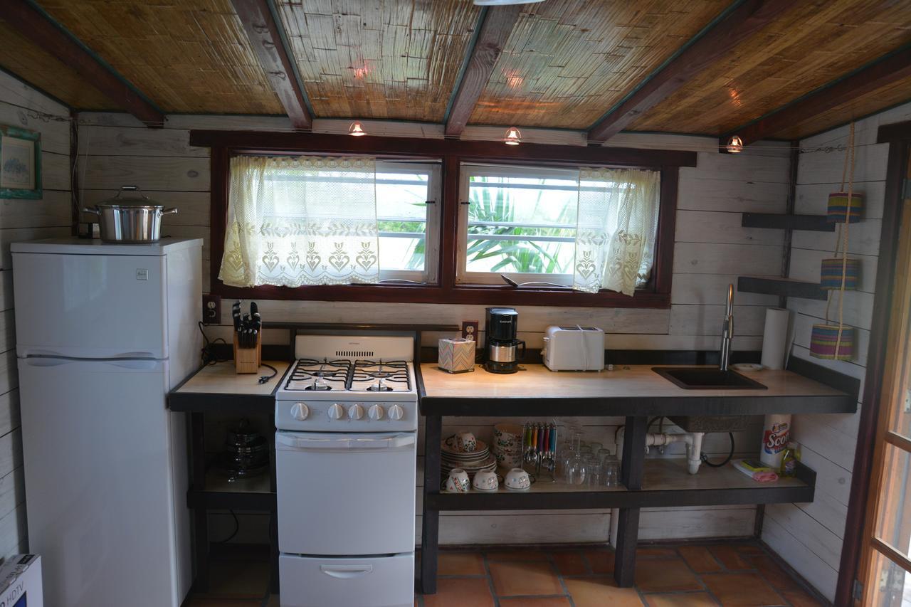 Single Room with Garden View,535342869:JPEG