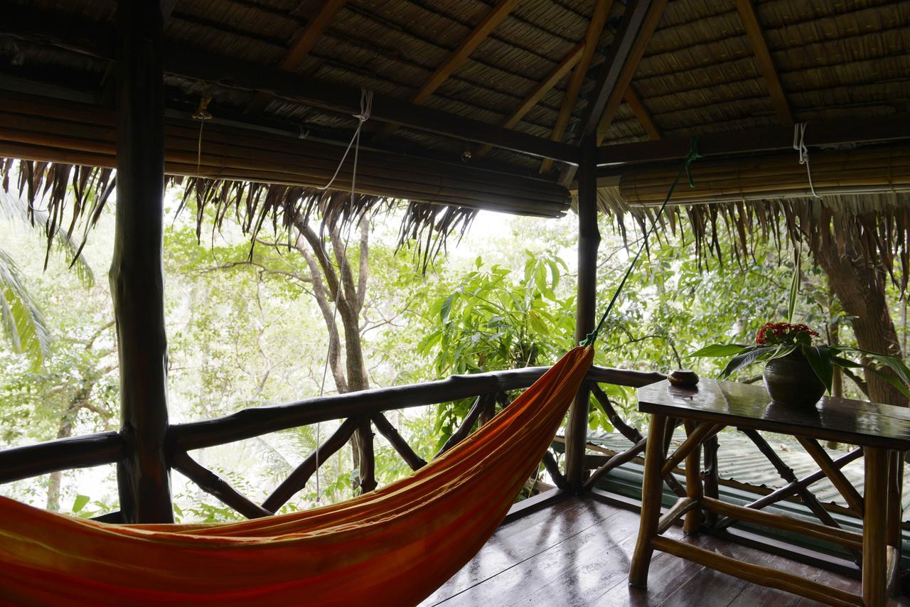 Bungalow with Garden View - Fan Room,528239805:JPEG