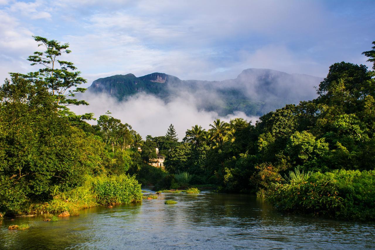 Standard Double Room,925917574:JPEG