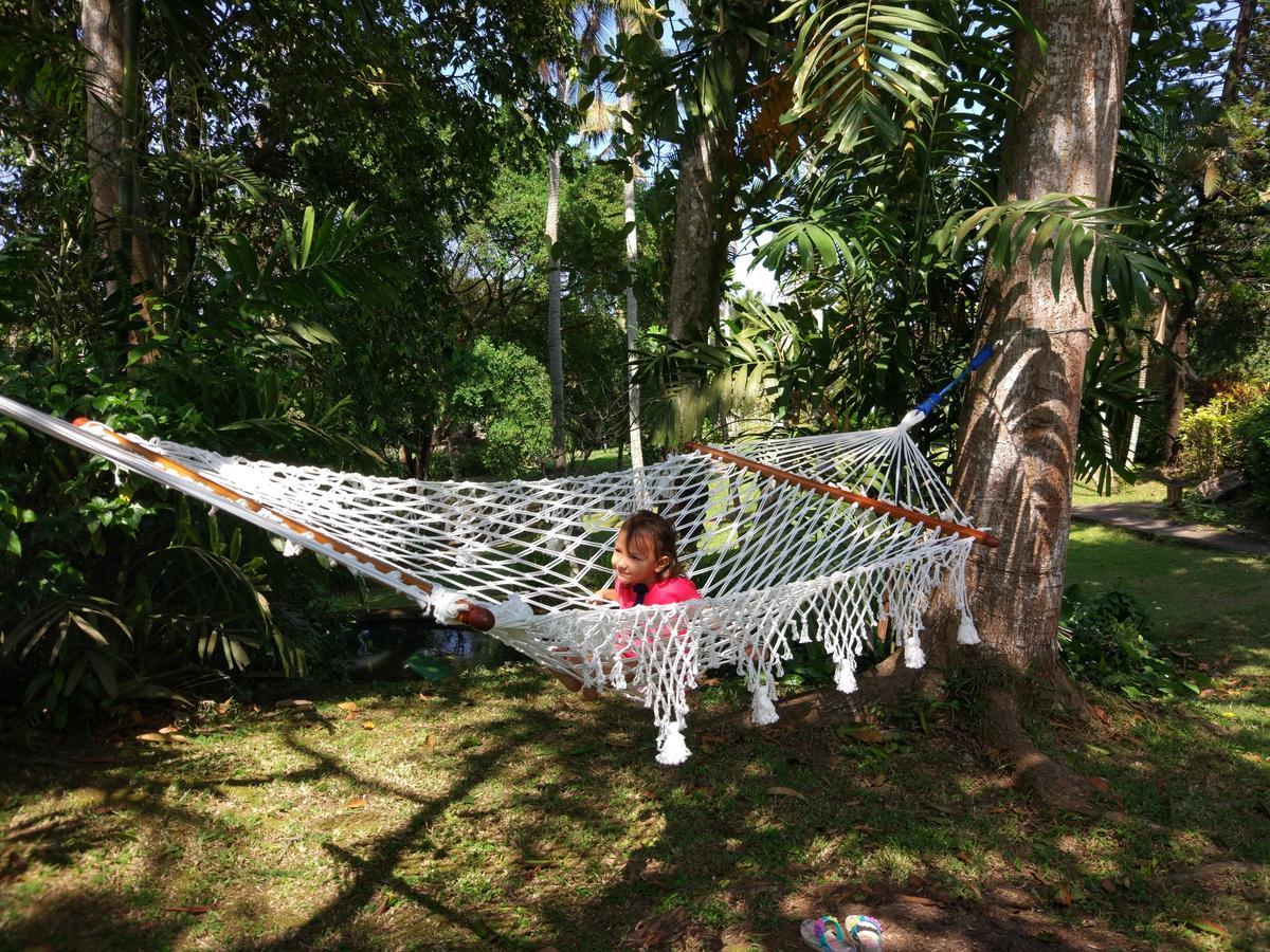 Bungalow with Garden View,544650459:JPEG