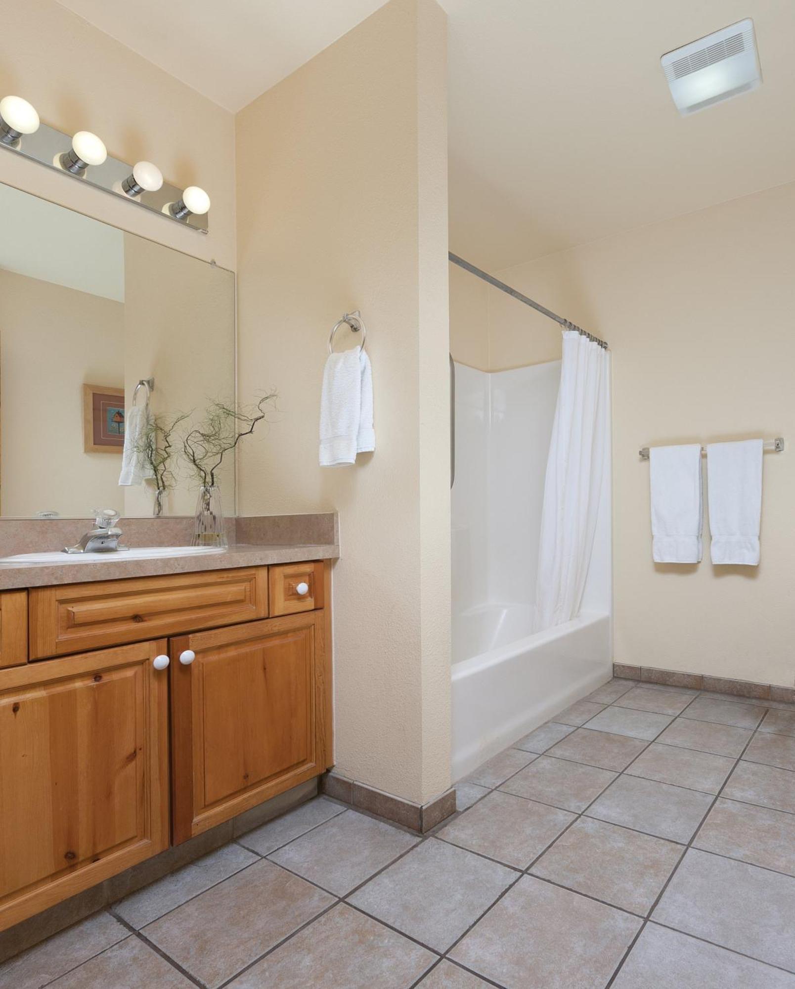 One-Bedroom Apartment,550117659:JPEG