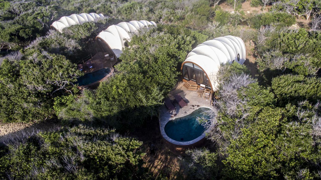 Cocoon Pool Suite with One Free Game Drive,643979160:JPEG