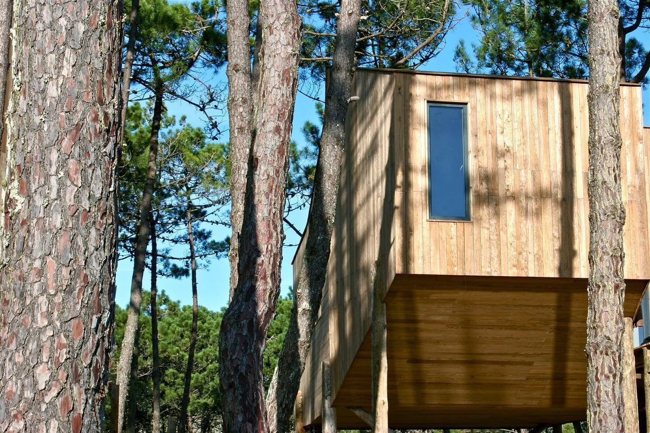 Bungalow,605362212:JPEG