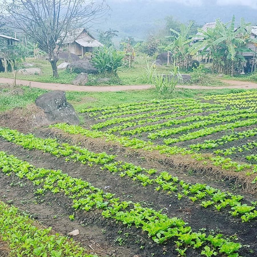 One-Bedroom House,649725258:JPEG