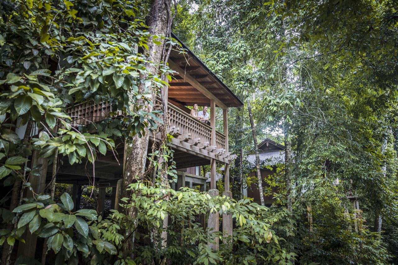 Rainforest Villa King or Twin,784387233:JPEG