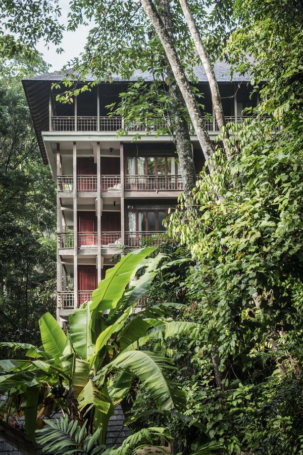 Canopy Suite,785736774:JPEG