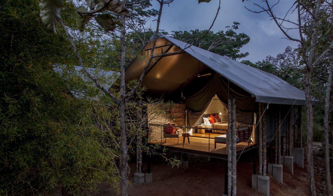 Luxury Tent Double Room Only,997428279:JPEG