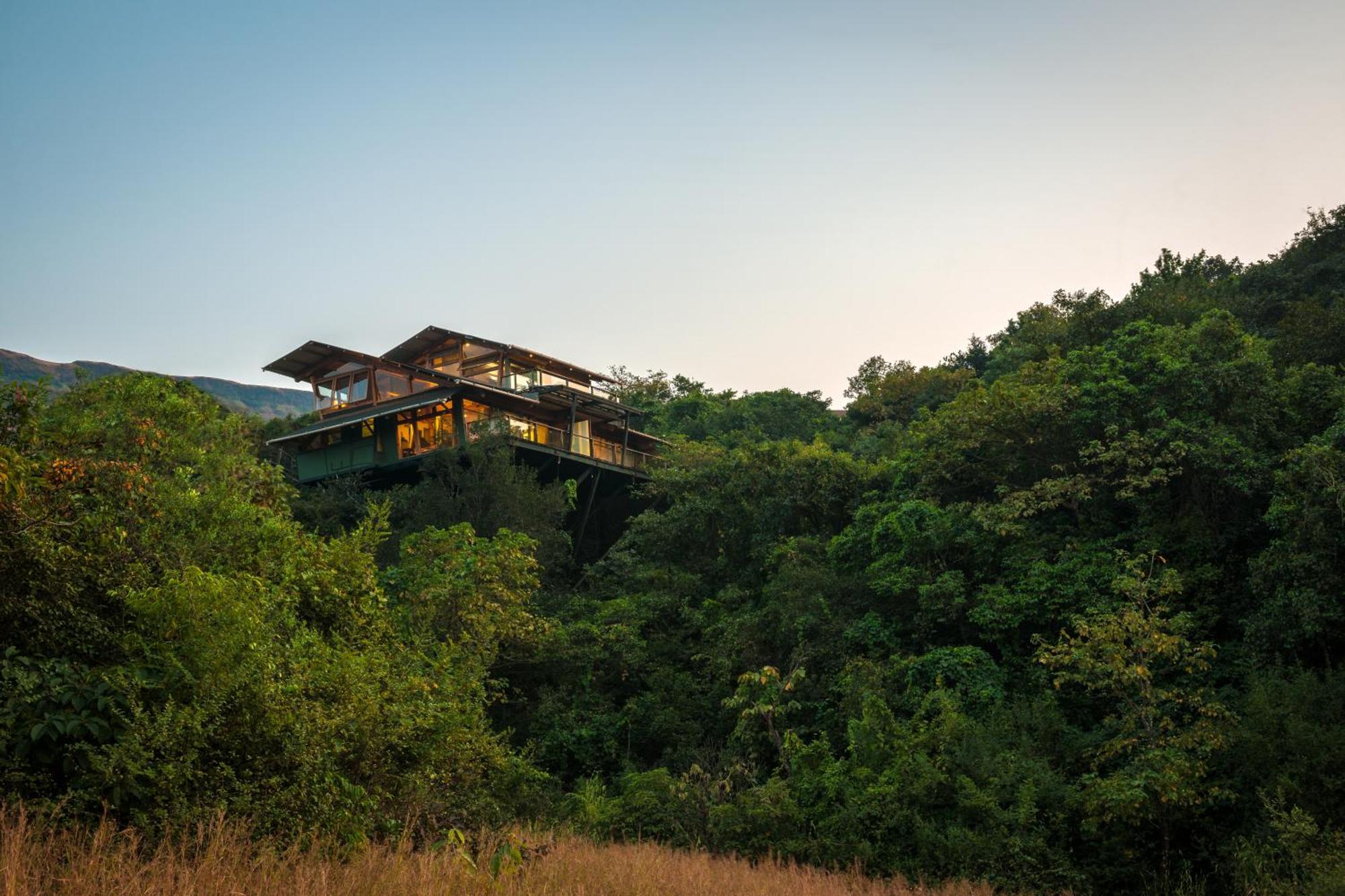 Deluxe Queen Suite - Forest Machan