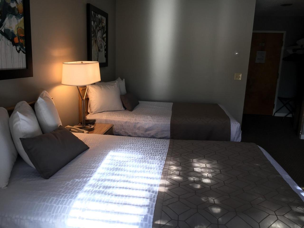 Double Room,733035145:JPEG