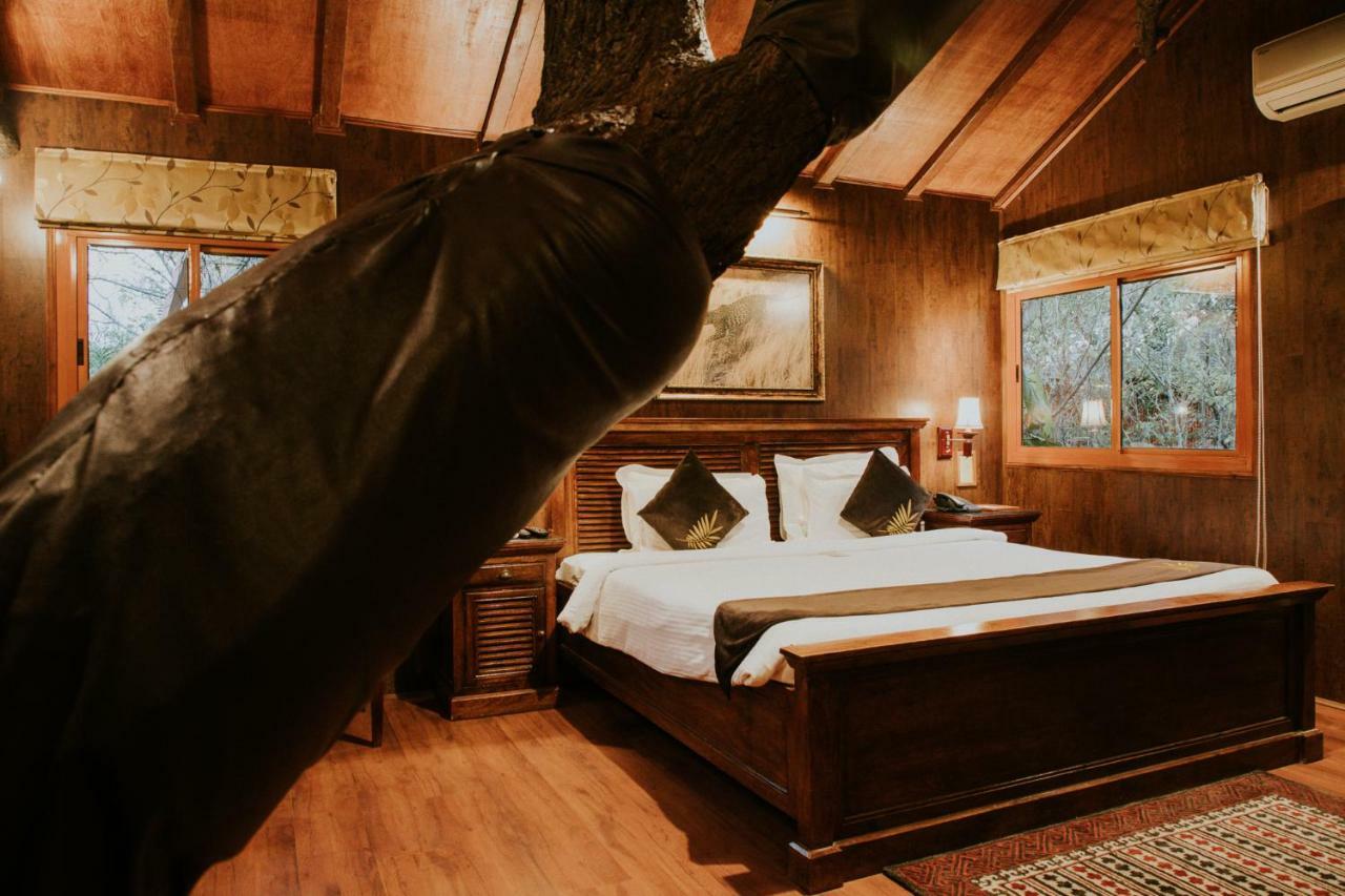 Air House Premium,1601690858:JPEG