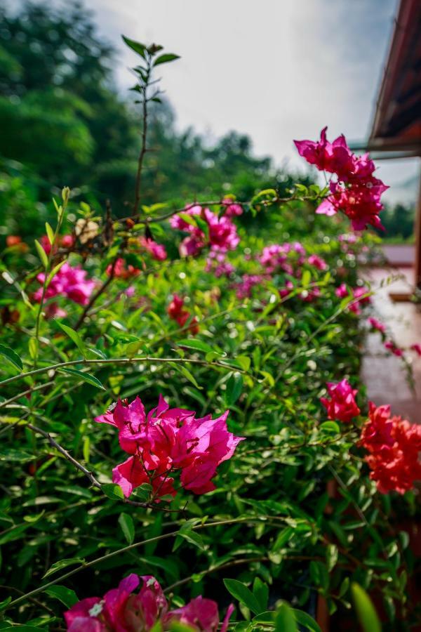 Suite with Terrace,812839266:JPEG