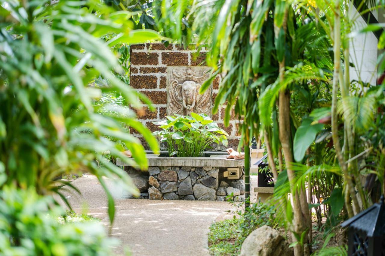 Villa with Garden View