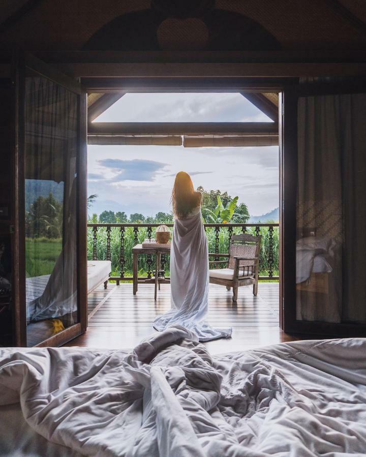 One-Bedroom Bungalow,893207974:JPEG