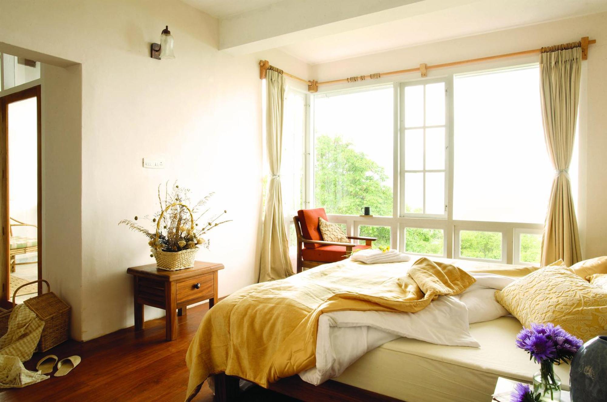 Planters Room,914678671:JPEG