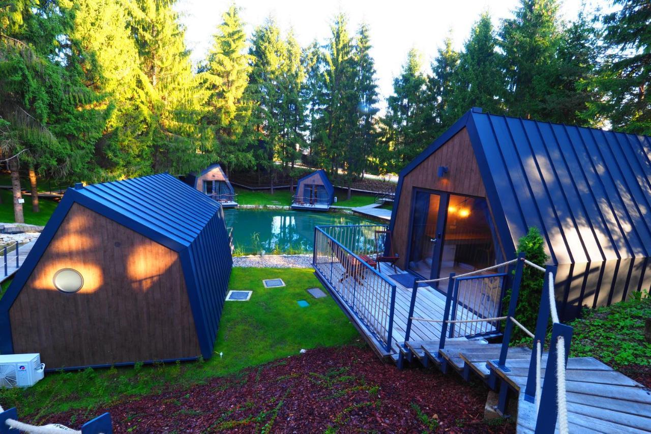 House Near the Lake