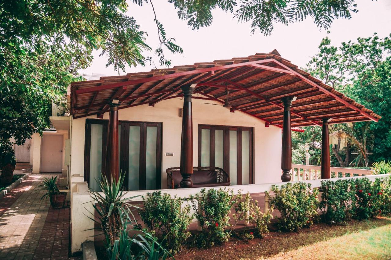 Large Double Room,1115049594:JPEG