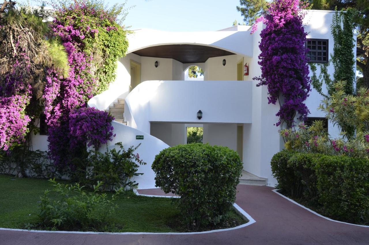 Standard Double or Twin Room,1543465963:JPEG