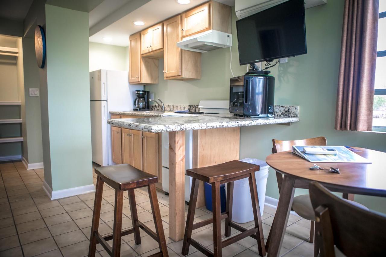 Large Studio Apartment - Queen Beds,975093772:JPEG