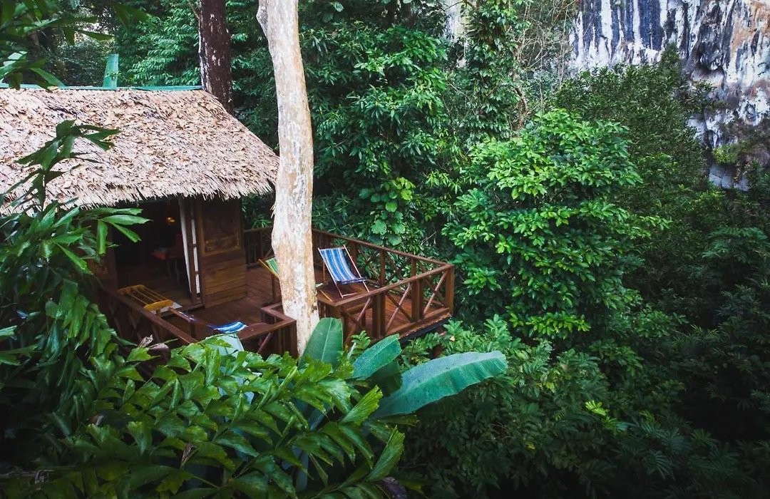 Our Jungle House - SHA Certified-1