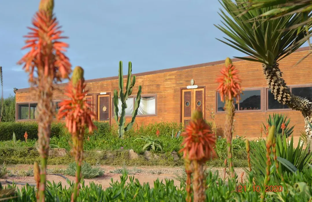Dakhla Kitesurf World-1