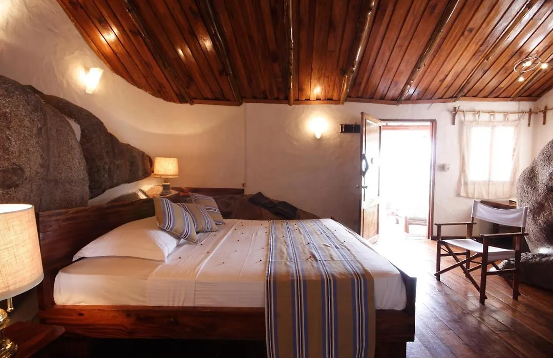 Chauve Souris Relais-1