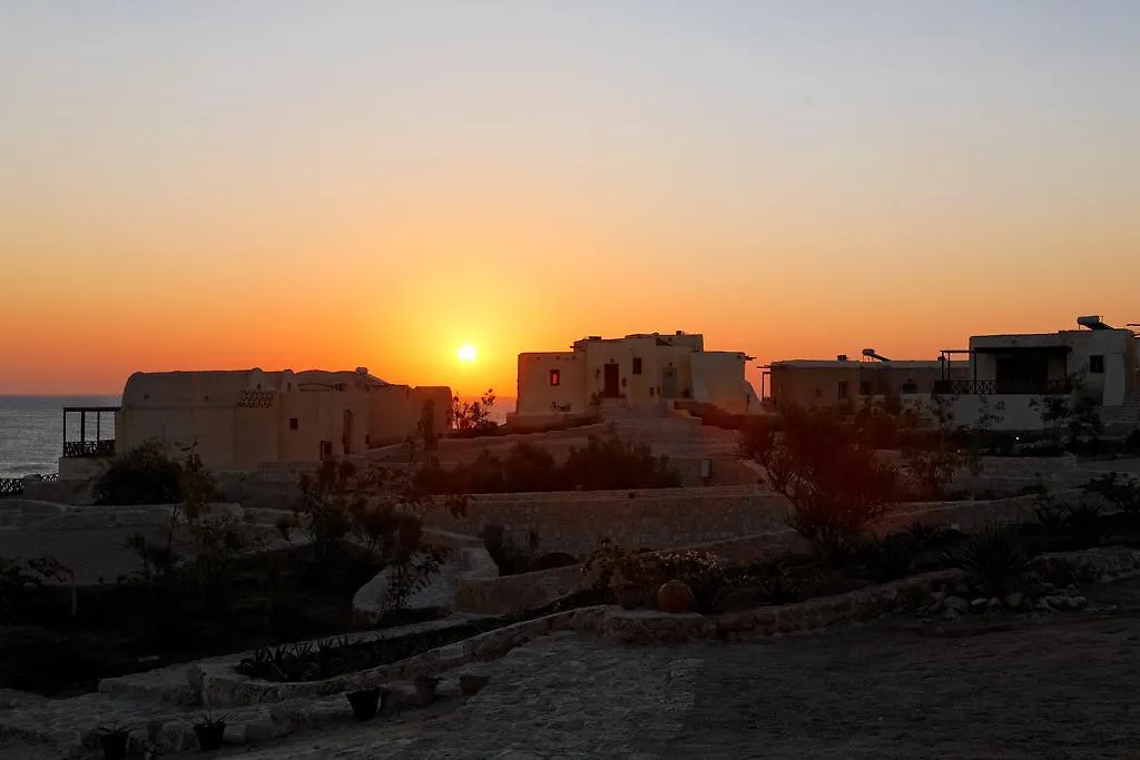 The Oasis-1