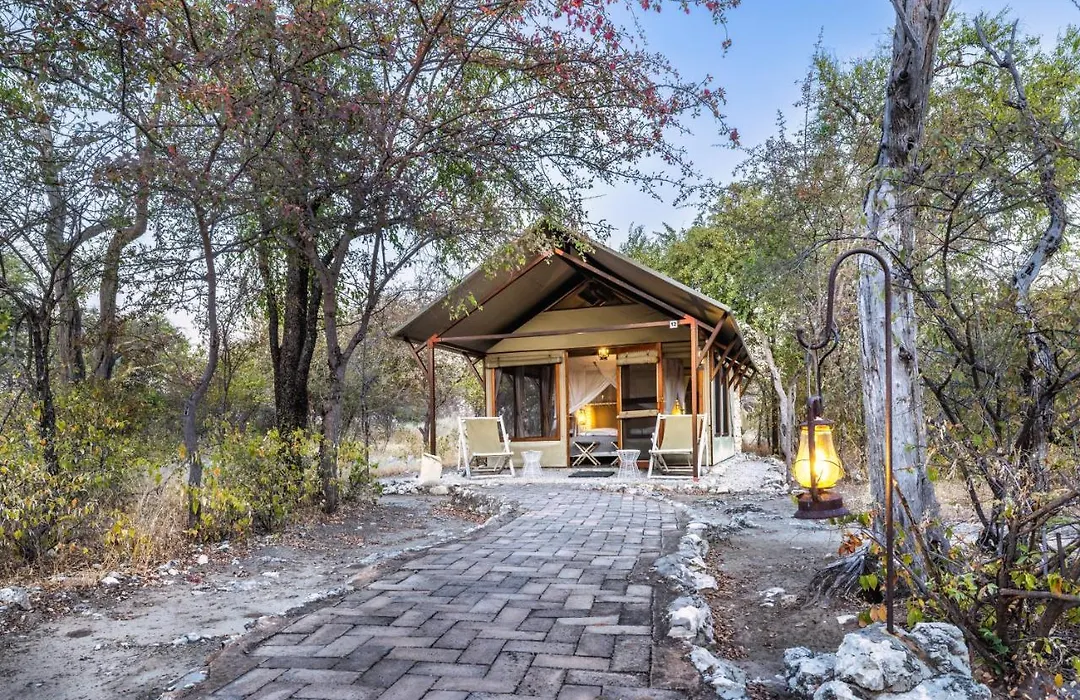 Mushara Bush Camp-1