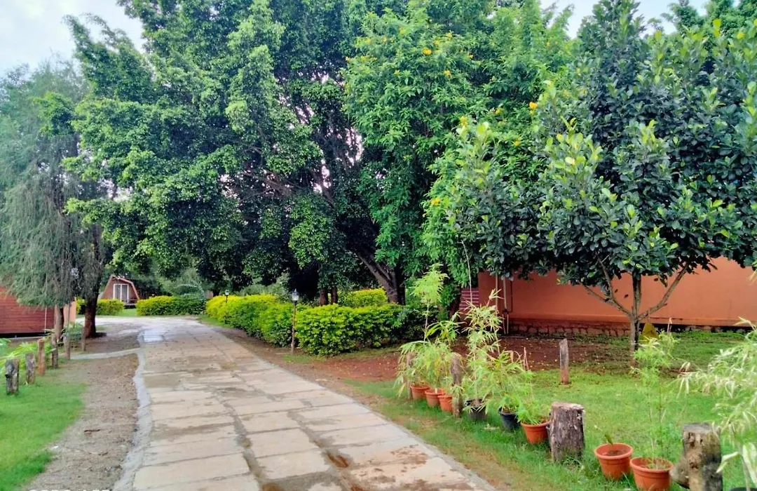 Kabini Lake View Resort-1