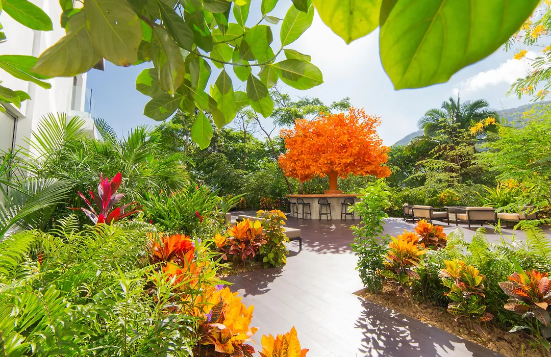 Hotel Mousai - Adults Only Puerto Vallarta-1