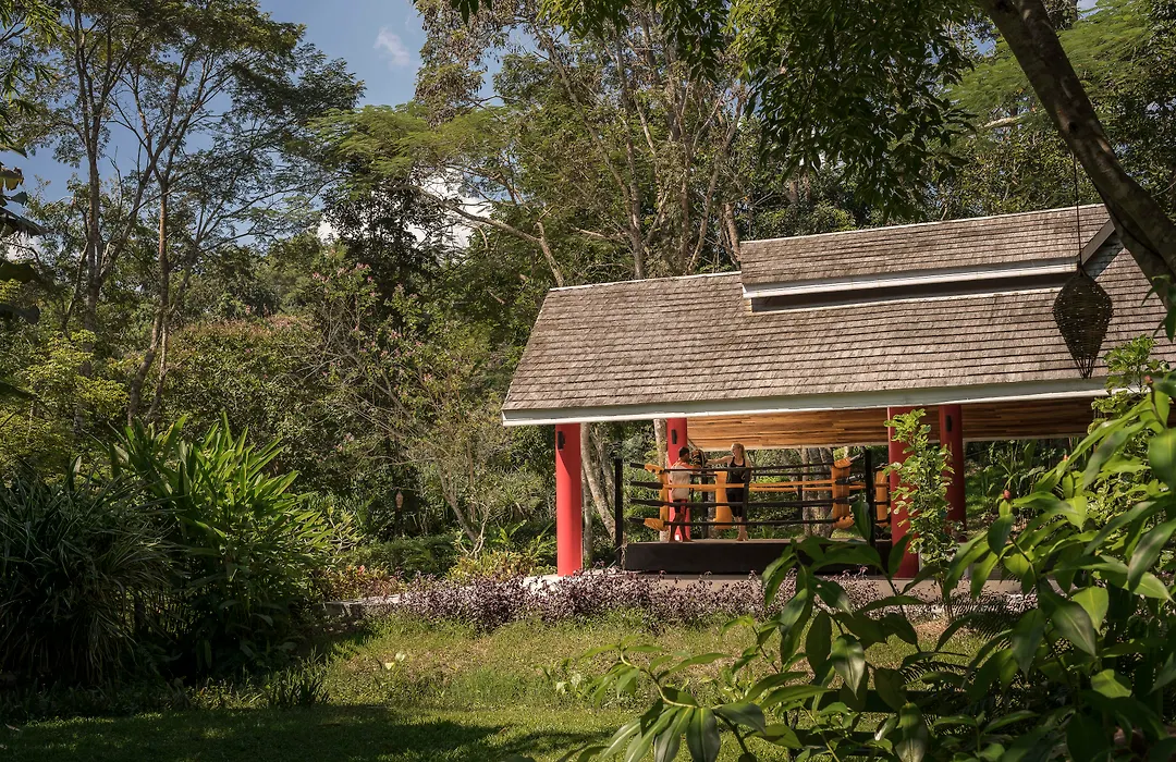 Anantara Golden Triangle Elephant Camp & Resort-1