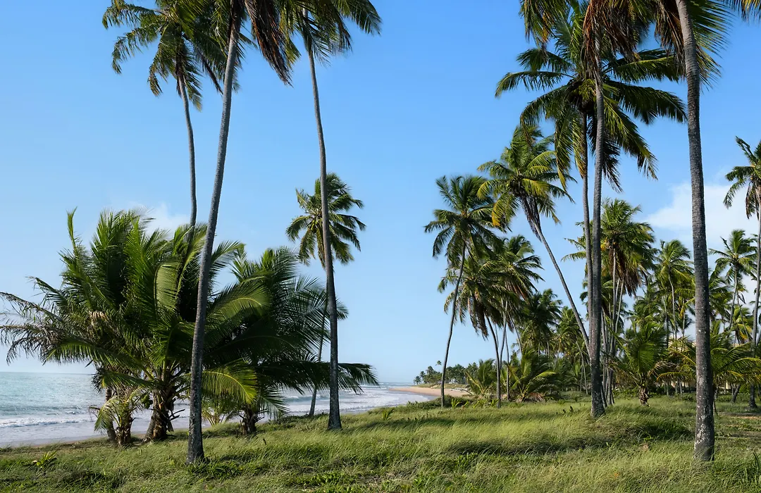 Iberostar Selection Praia do Forte - All Inclusive-1