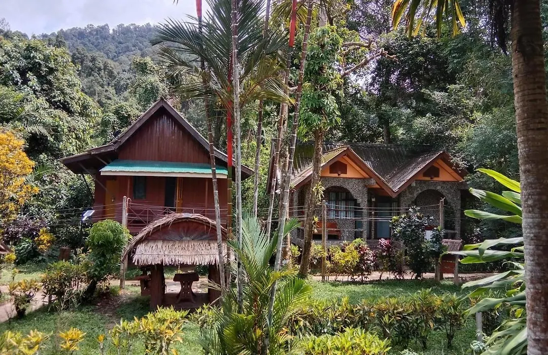 Tree Tops River Huts-1