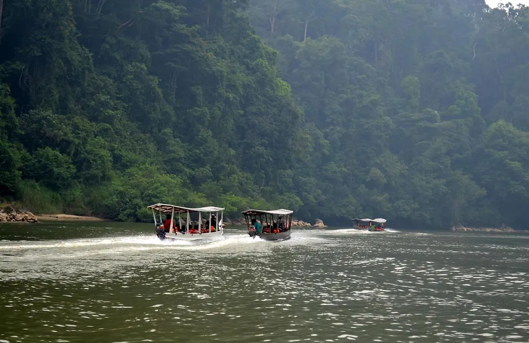 Mutiara Taman Negara-1