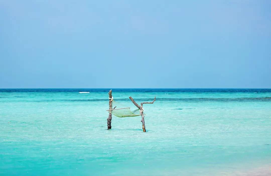 Angsana Velavaru - Part Of Banyan Group With Free Return Seaplane Transfers-1