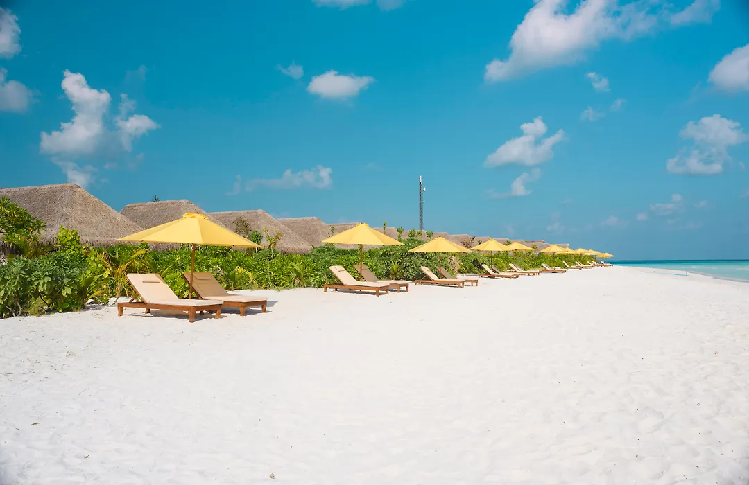 Dhigufaru Island Resort-1