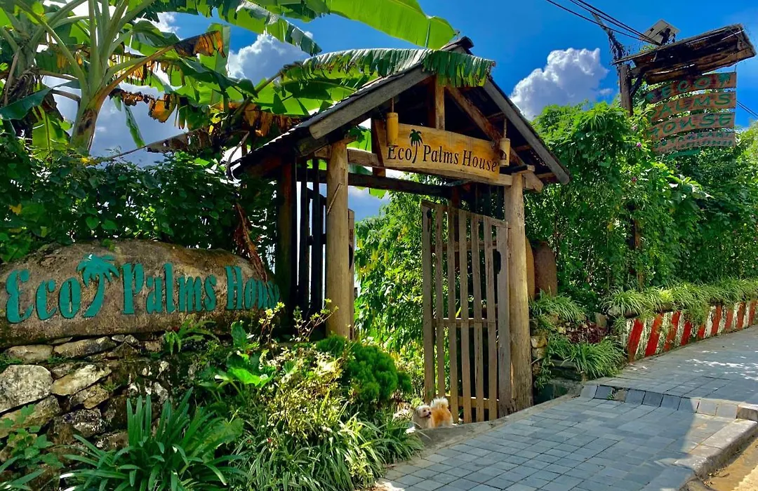 Eco Palms House - Sapa Retreat-1